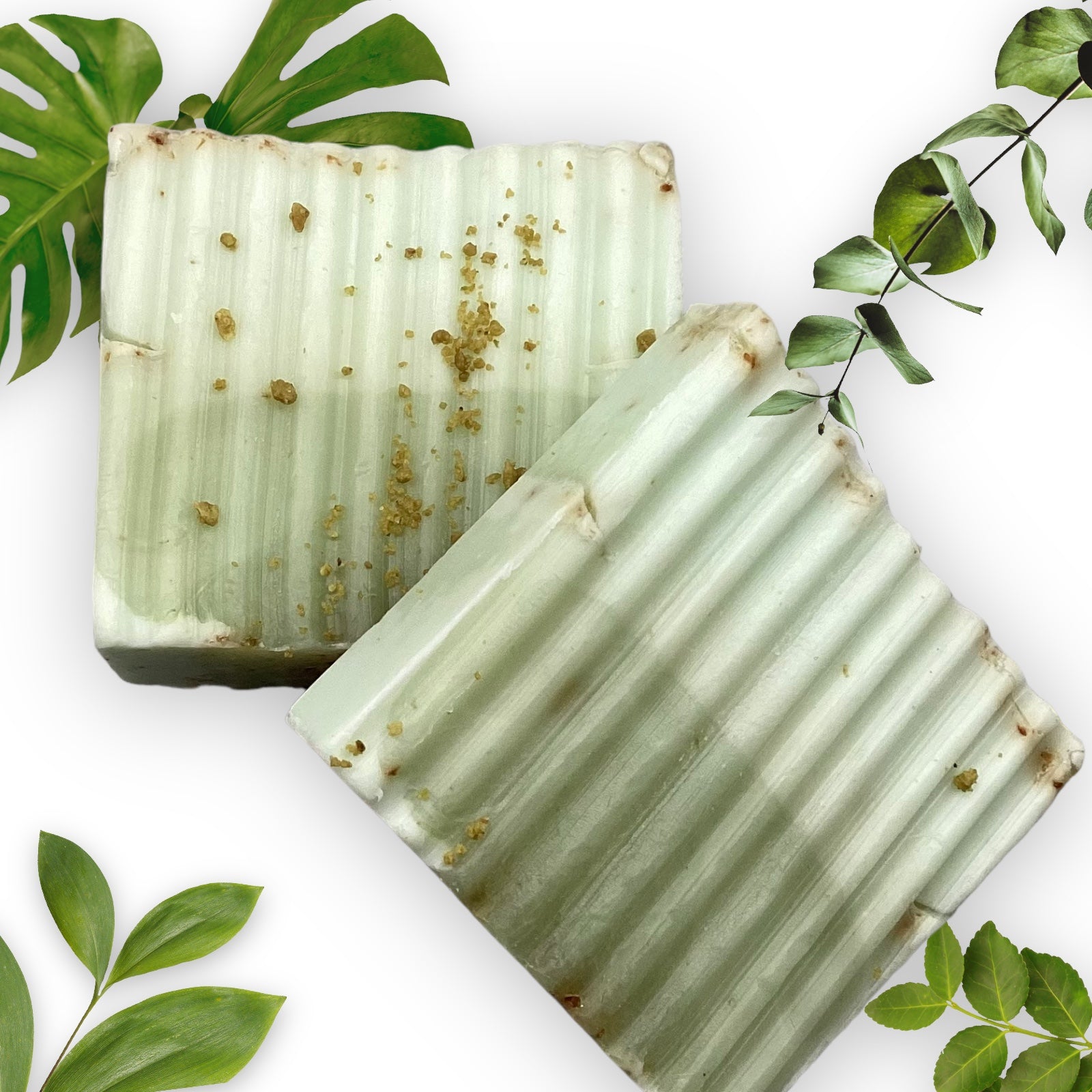 Avocado Anti-Aging Bar
